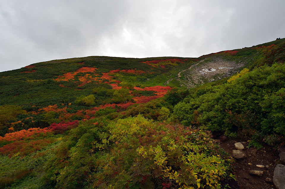 f0109977_15004206.jpg