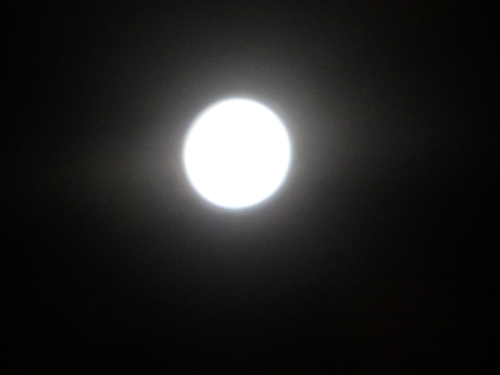 a0199979_18132249.jpg