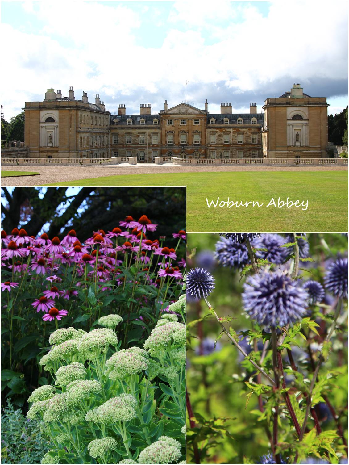 Woburn Abbey アフタヌーンティーの故郷_a0107981_9571950.jpg