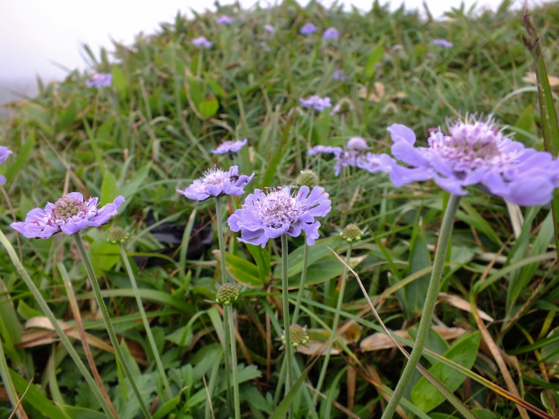 f0082181_09557.jpg