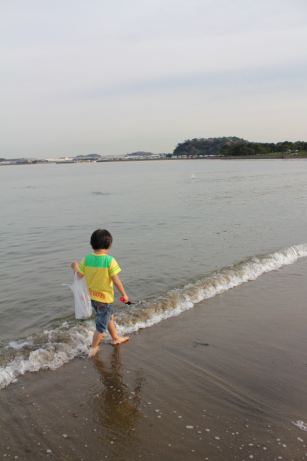 写真で綴る最近のできごと　5　【海の公園で貝拾い】_c0204298_1101579.jpg