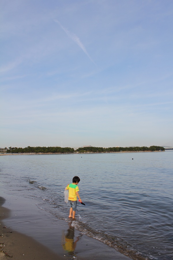 写真で綴る最近のできごと　5　【海の公園で貝拾い】_c0204298_111783.jpg