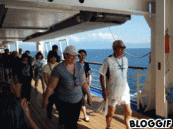 f0255500_18315890.gif