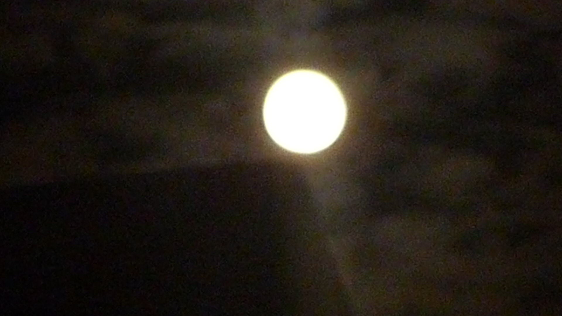 f0146802_21435944.jpg