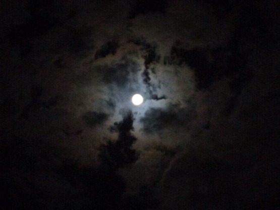 f0197703_10351618.jpg