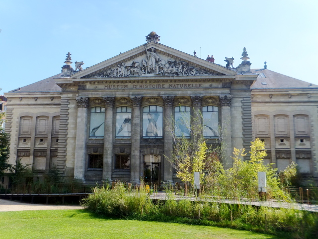 Musée d\'histoire naturelle à Nantes_e0228108_03163256.jpg