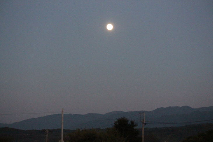 a0281511_1955655.jpg