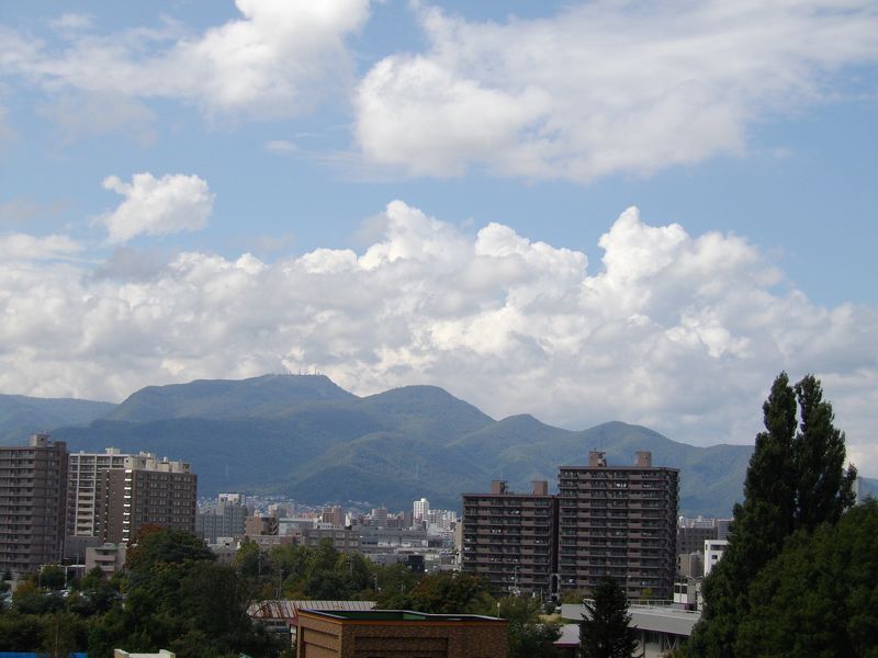 今日のイチョウ並木: 明日からは仙台_c0025115_18164846.jpg