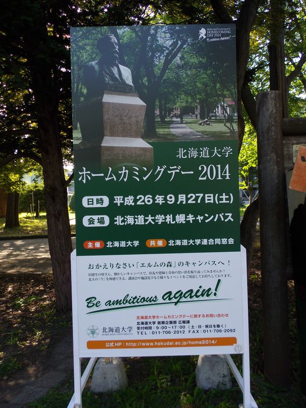 今日のイチョウ並木: 明日からは仙台_c0025115_18231419.jpg