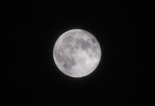 d0263216_22331194.gif
