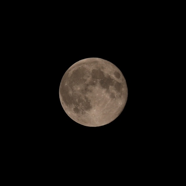 e0117318_2351534.jpg