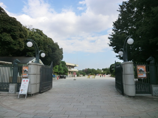 お馬の公園散歩。_d0221319_22284454.jpg