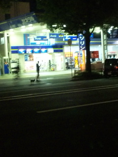 e0119327_18494594.jpg