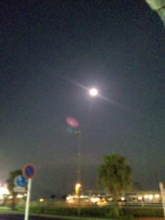 e0119327_18512237.jpg