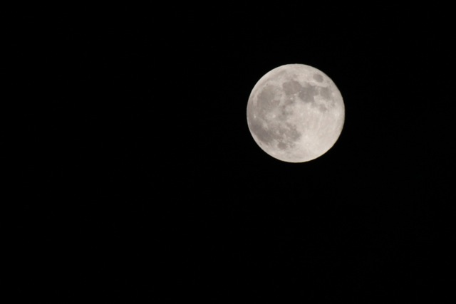 f0348831_22143089.jpg