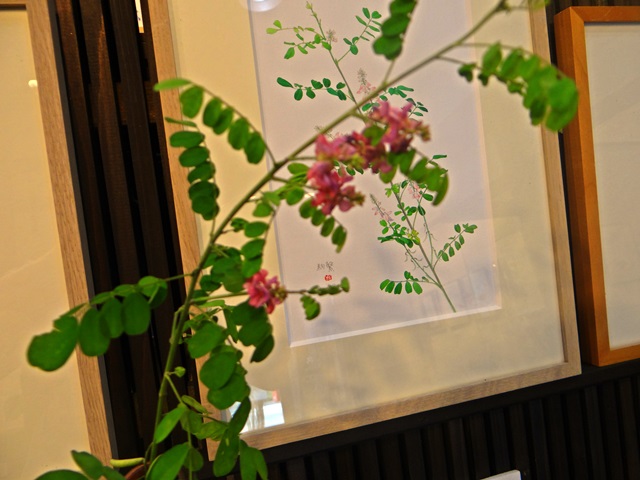 「野の花館」の紹介_d0037233_1542097.jpg