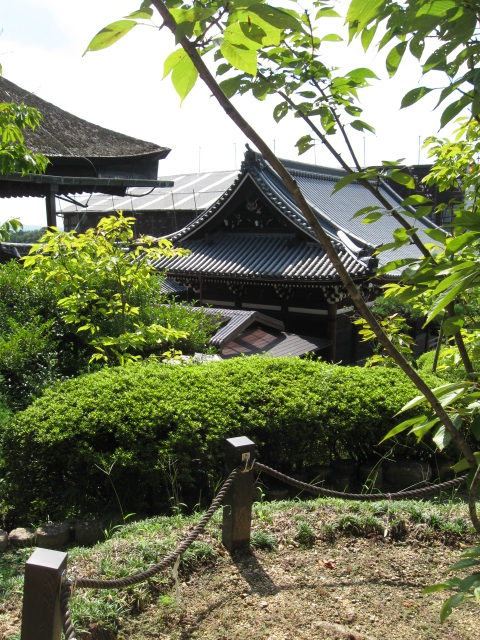 ♪♪　音羽山　清水寺　(旅1)_a0068035_2394084.jpg