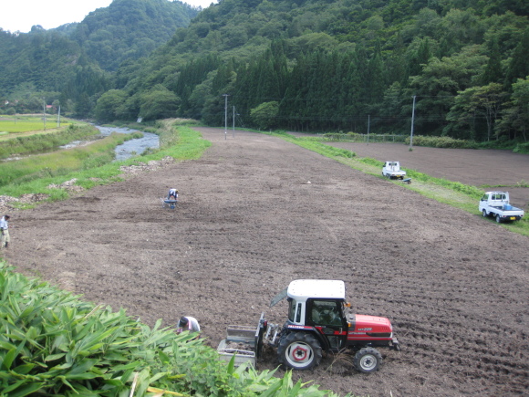 f0329538_17583200.jpg