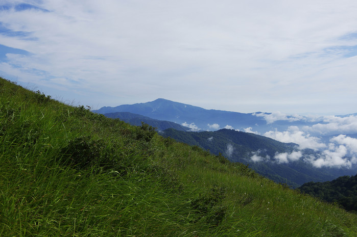 d0237340_083489.jpg