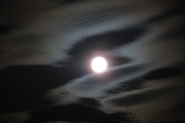 e0060041_2225440.jpg