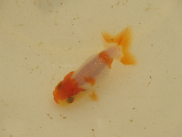 f0334143_9159.jpg