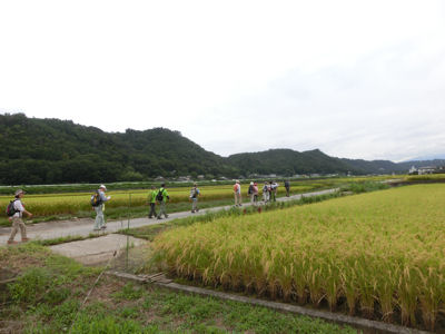 権藤はなよさん_f0019247_17341929.jpg