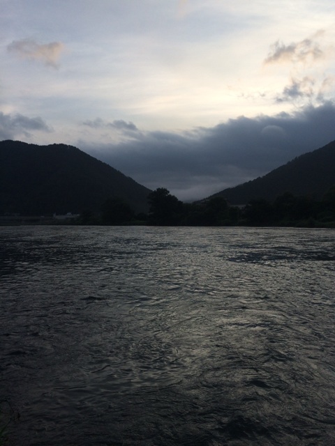 e0201348_60758.jpg