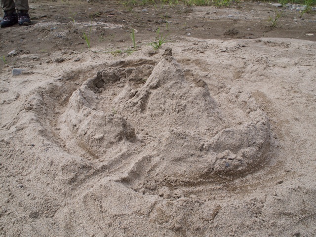 e0201348_60918.jpg