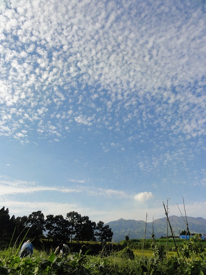 d0264557_2141324.jpg