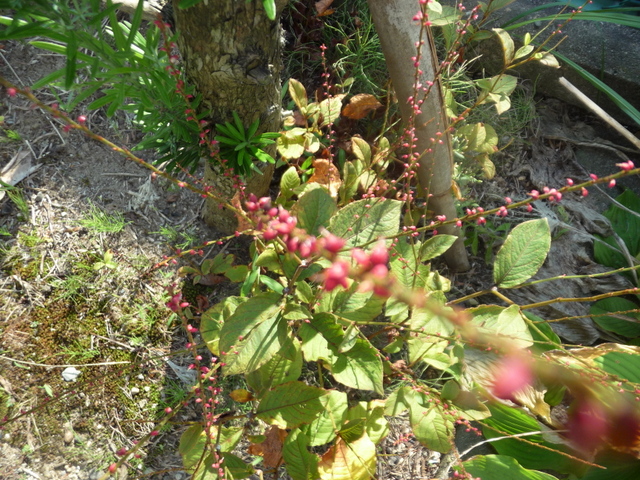f0208760_9174518.jpg