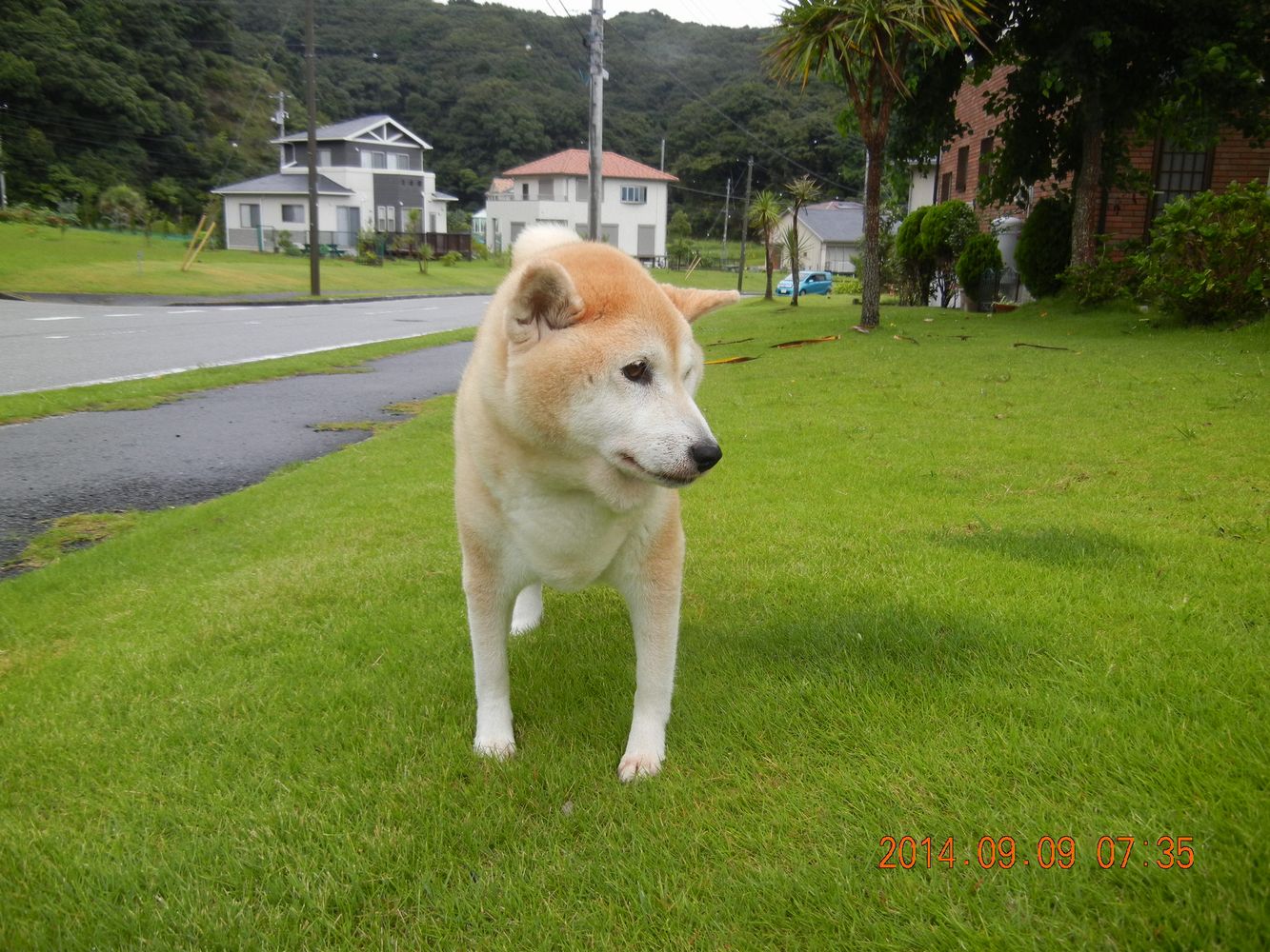 ’14,9,9(火)愛ちゃん、今日も生きてます!_f0060461_1014481.jpg