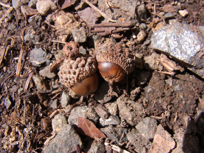 f0054366_12363181.jpg