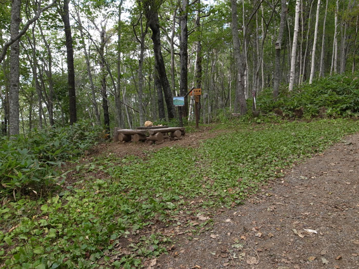 f0054366_12364232.jpg
