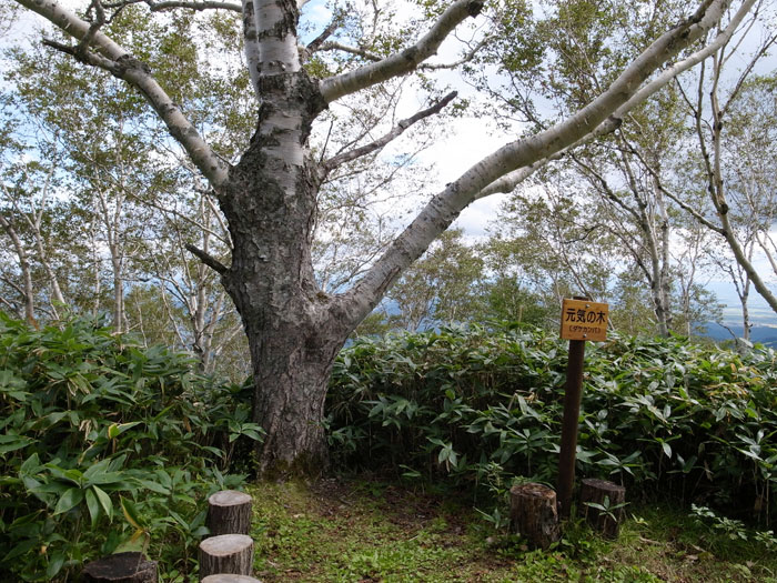 f0054366_12364346.jpg