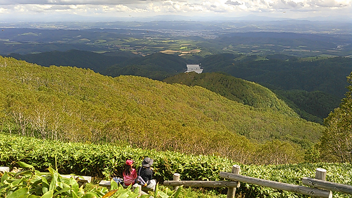 仁頃山　【　管理道　2014-23　】_f0054366_20255809.jpg