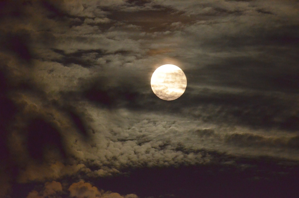 Super moon_a0262369_21595514.jpg