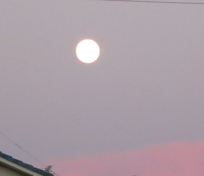 c0117570_10465778.jpg