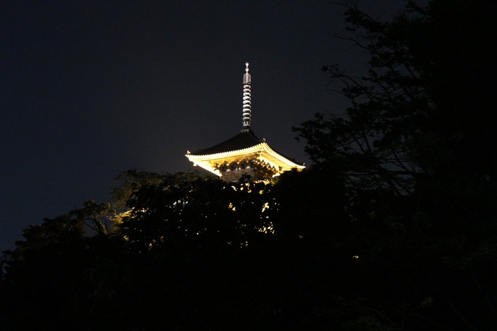 三渓園観月会_c0310571_23143987.jpg