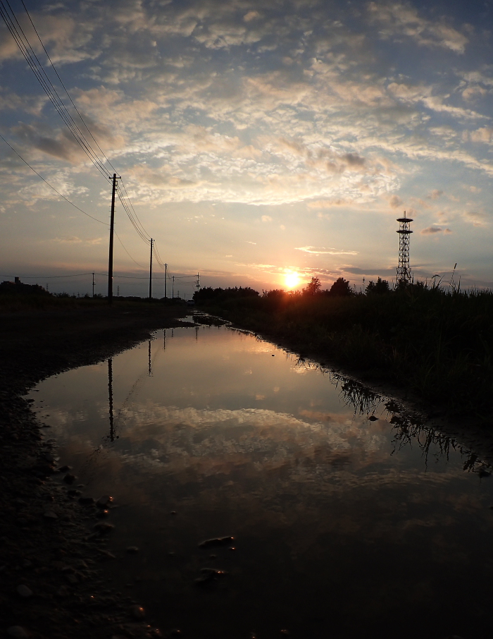 今日の夕空　　田圃道で　　ー　９月９日　ー_e0249878_21524510.jpg