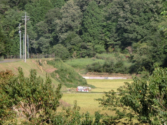 a0199979_164047.jpg