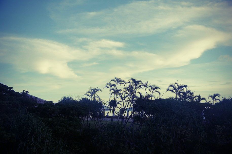 f0214479_227181.jpg