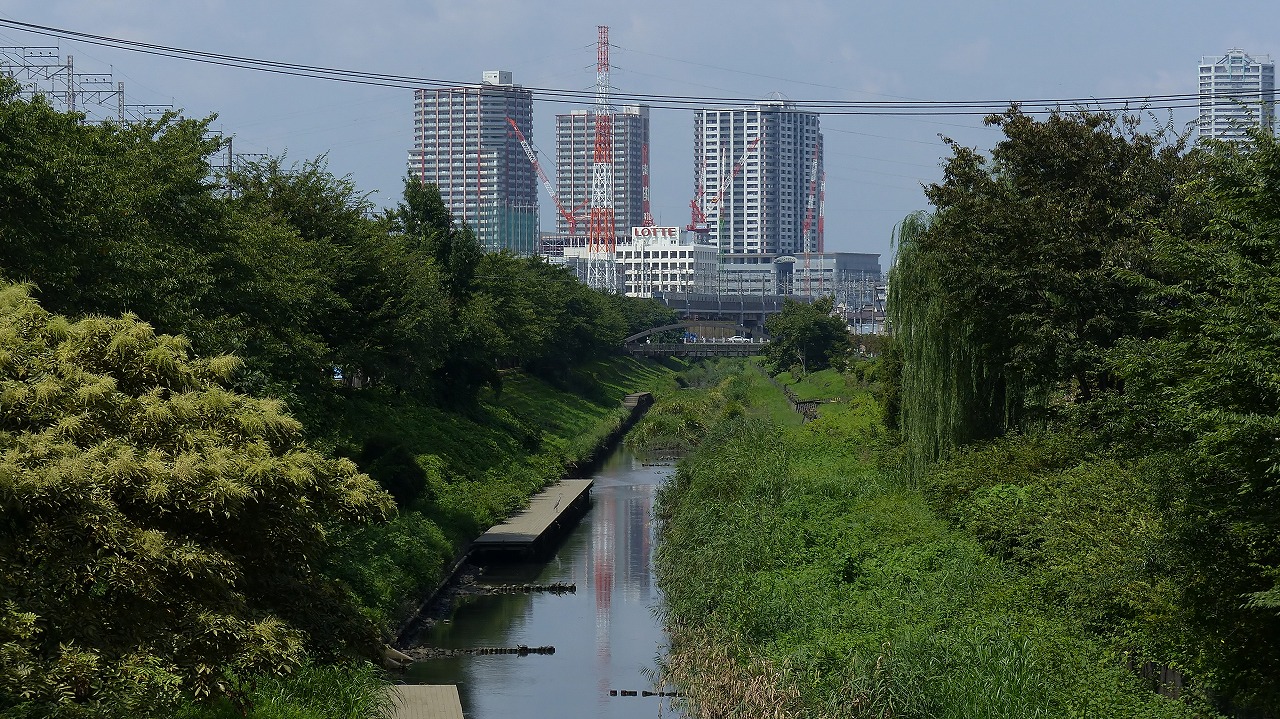 a0185081_1493841.jpg