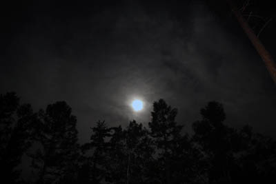 f0145483_21363285.jpg