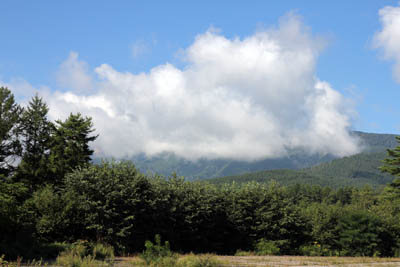 f0145483_2141537.jpg
