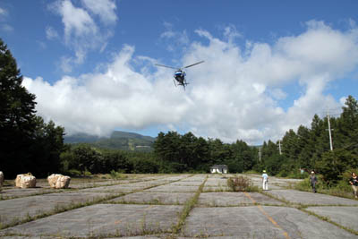 f0145483_2153483.jpg