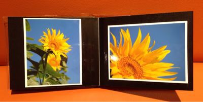 Power★充電*\\(^o^)/*_d0162684_15563929.jpg