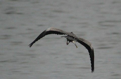 e0197884_20213982.jpg