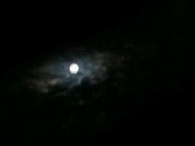 b0308588_19575683.jpg
