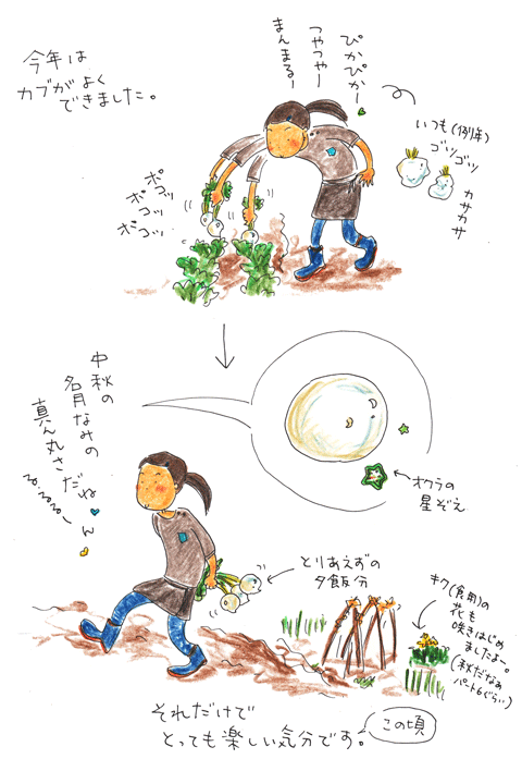 名月によせて_f0236291_5262284.gif