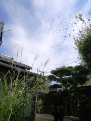 a0088892_05034171.jpg